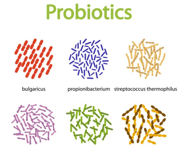 probiotics-1